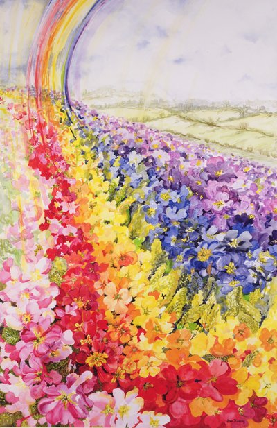 Primrose Rainbow by Joan Thewsey